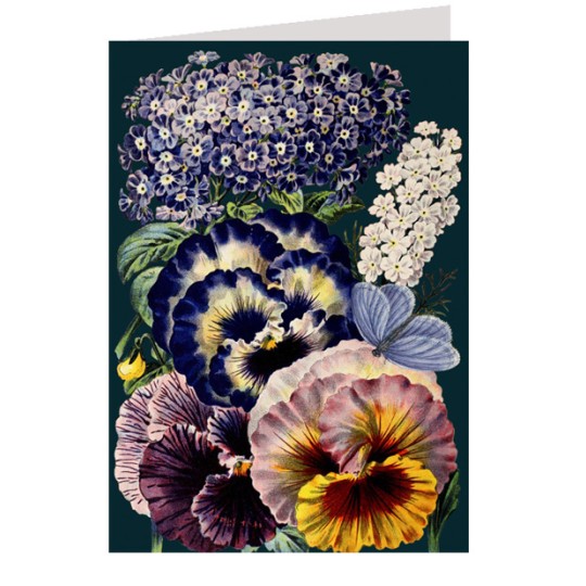 Pansies and Flowers on Black Beautiful Floral Card ~ England